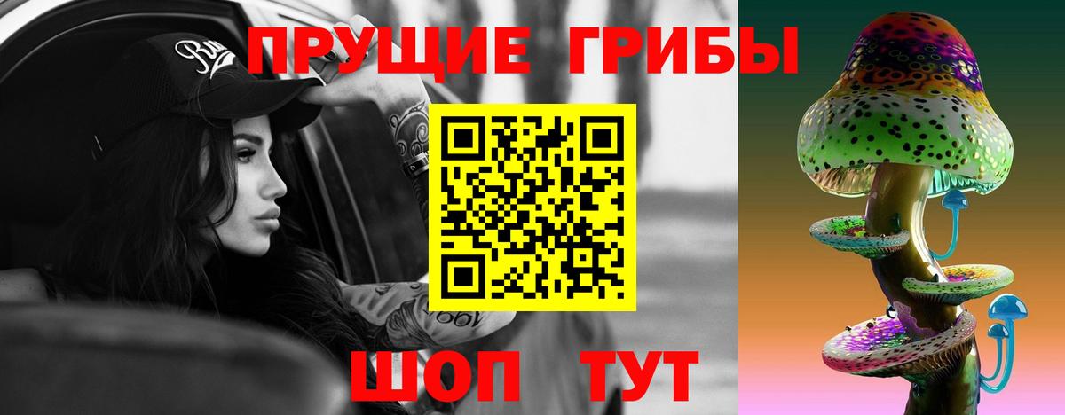 Псилоцибиновые грибы GOLDEN TEACHER  Вход с VPN  Междуреченск 